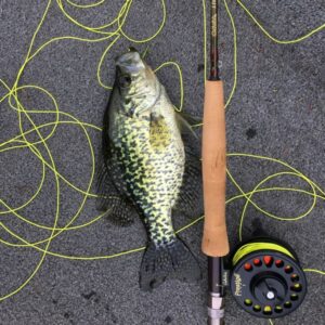 Crappie Baits